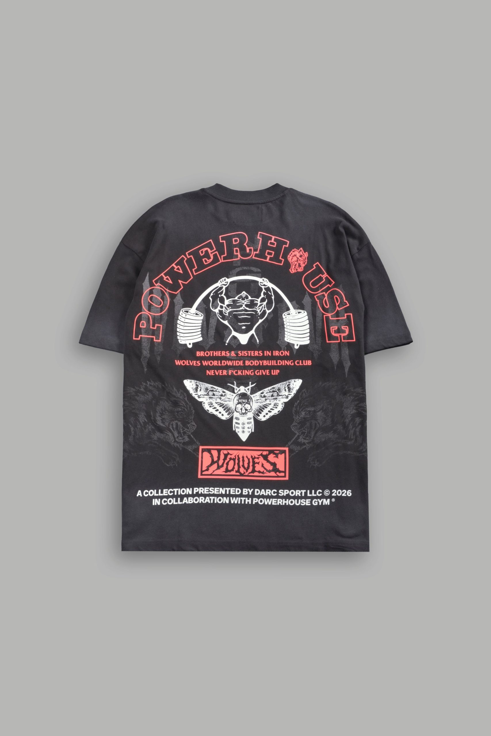 Powerhouse Moth Premium Oversized Tee in Wolf Gray Drift Wash