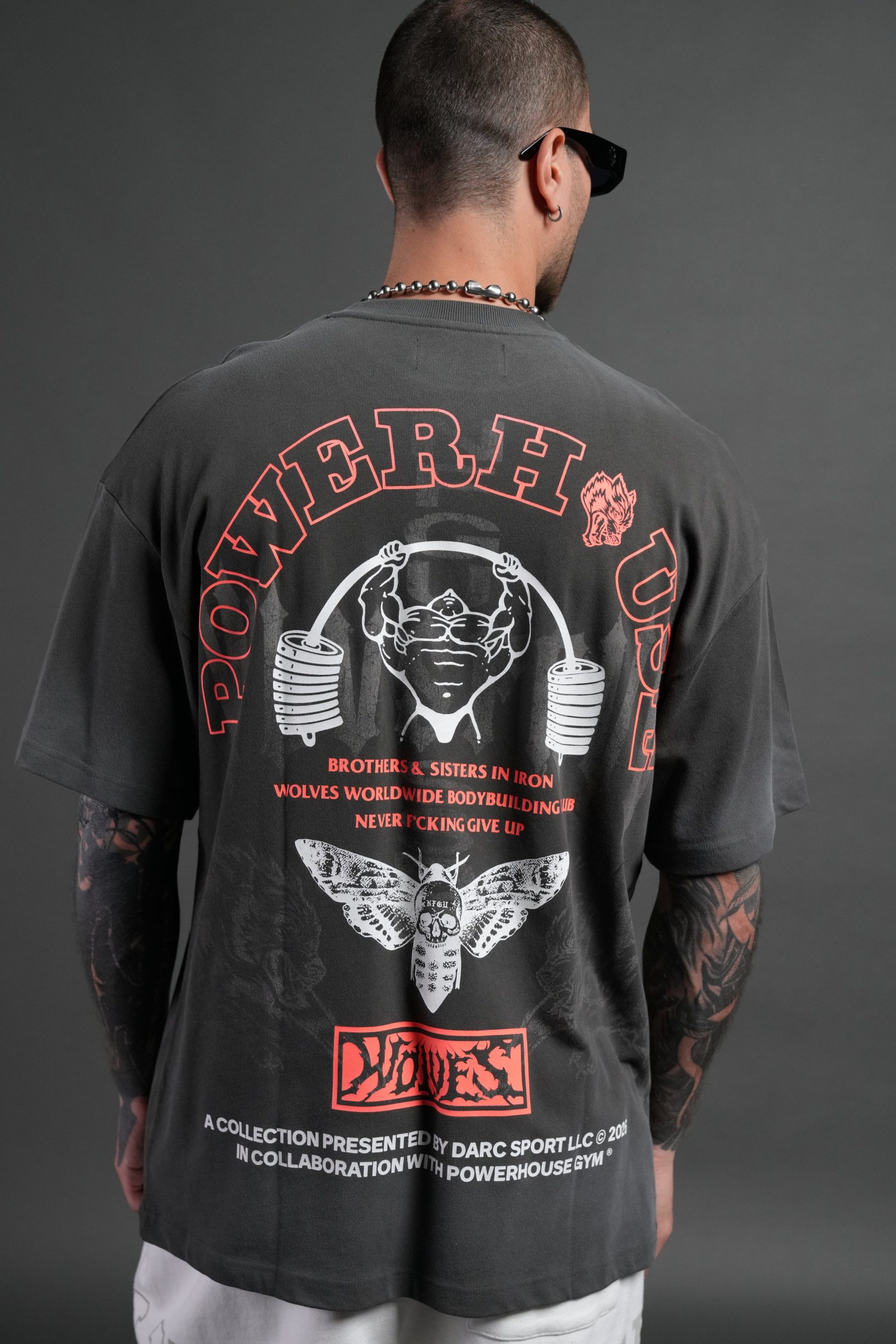 Powerhouse Moth Premium Oversized Tee in Wolf Gray Drift Wash - Image 4