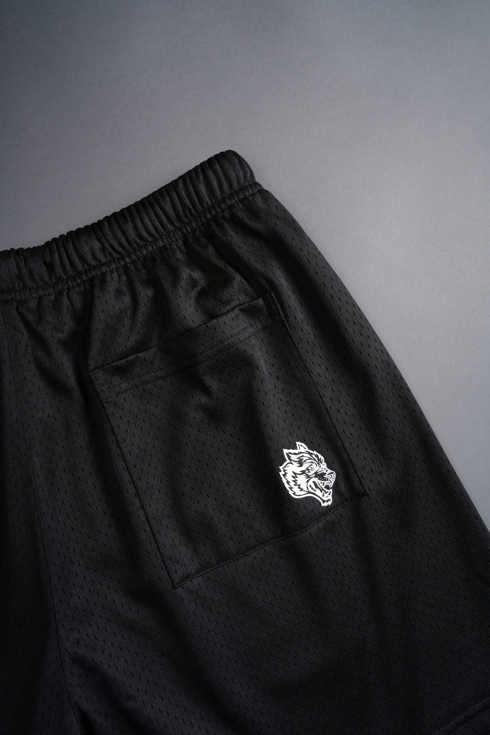 NFGU Powerhouse Mesh Shorts in Black - Image 8