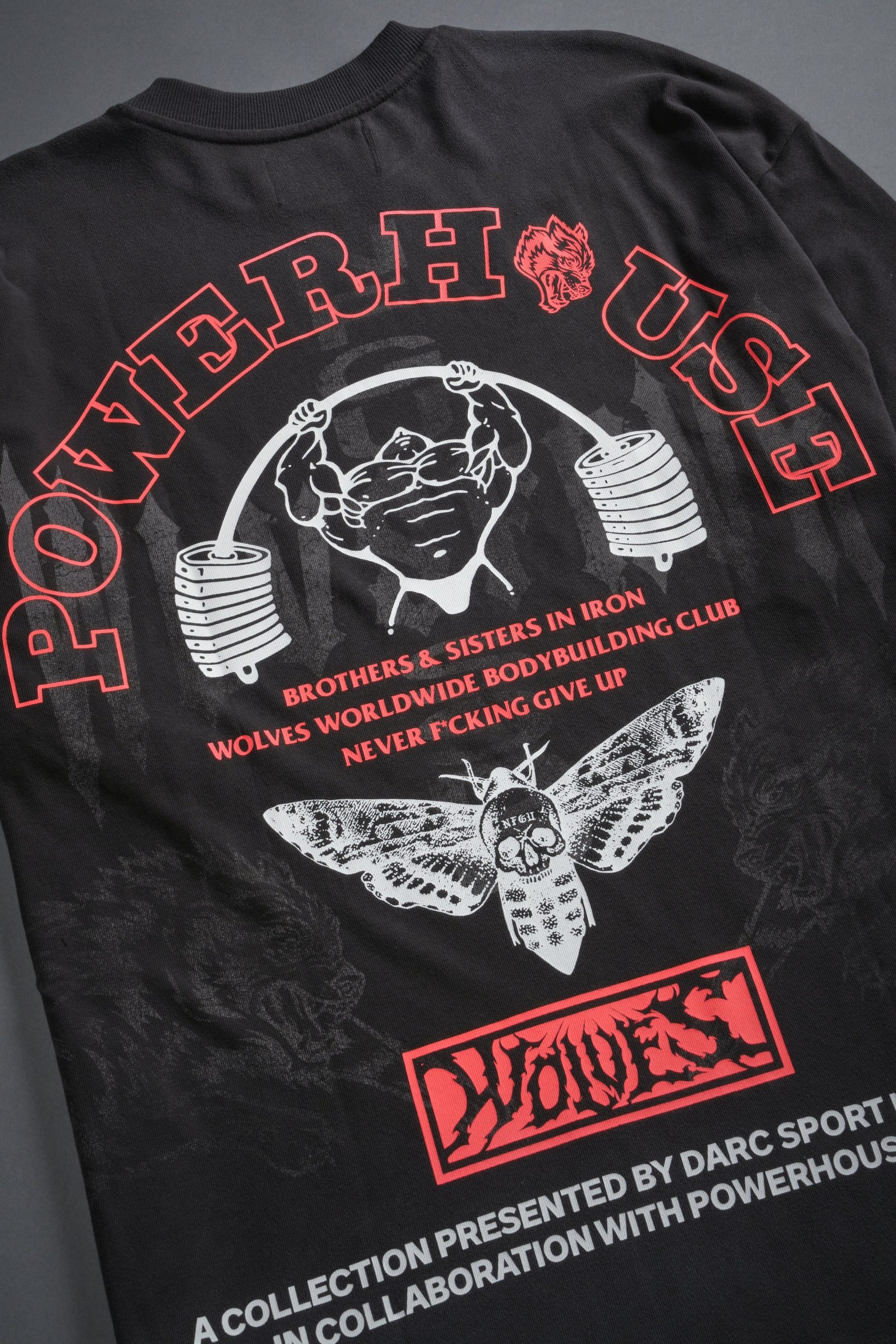Powerhouse Moth Premium Oversized Tee in Wolf Gray Drift Wash - Image 9